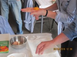bedrijfsuitje teambuilding